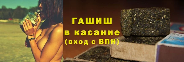 твердый Новозыбков