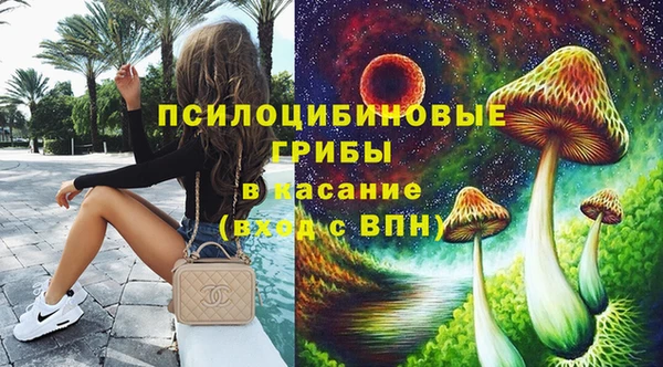 герыч Новодвинск