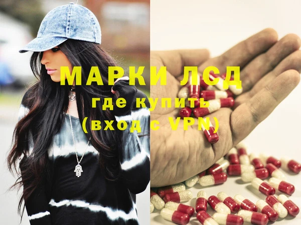 твердый Новозыбков