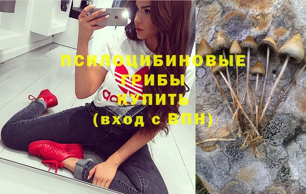 круглые Новокубанск