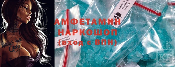 твердый Новозыбков