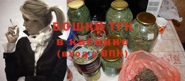 твердый Новозыбков