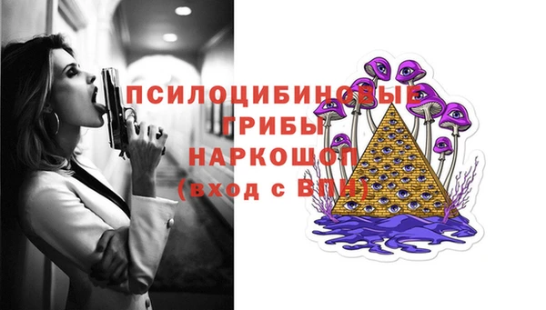 твердый Новозыбков