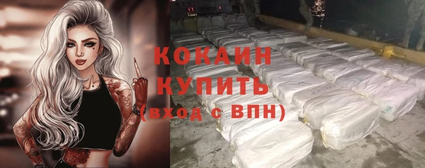 твердый Новозыбков