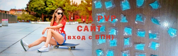 твердый Новозыбков
