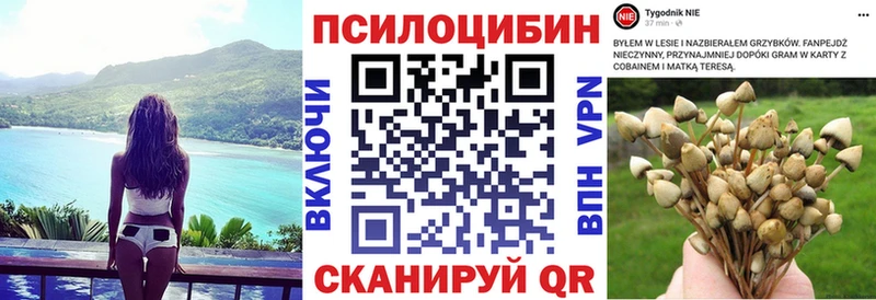 Псилоцибиновые грибы Cubensis  Сухой Лог 