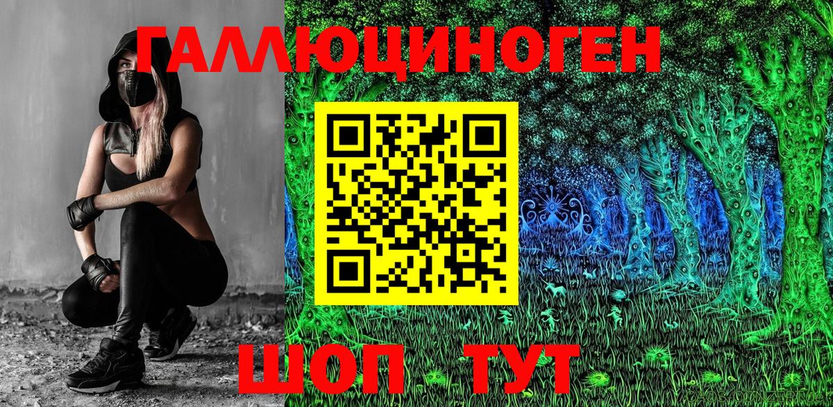 Сухой Лог  Псилоцибиновые грибы мицелий  купить наркотики сайты  Вход с VPN 