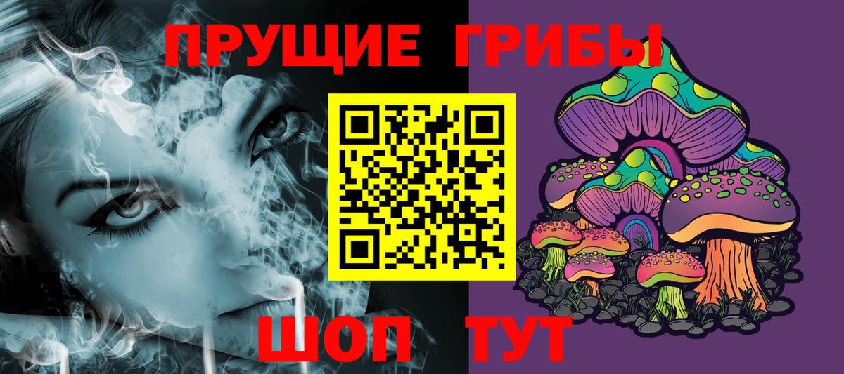 Псилоцибиновые грибы Psilocybine cubensis Сухой Лог