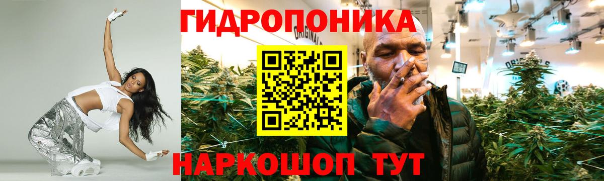 Каннабис сатива Сухой Лог